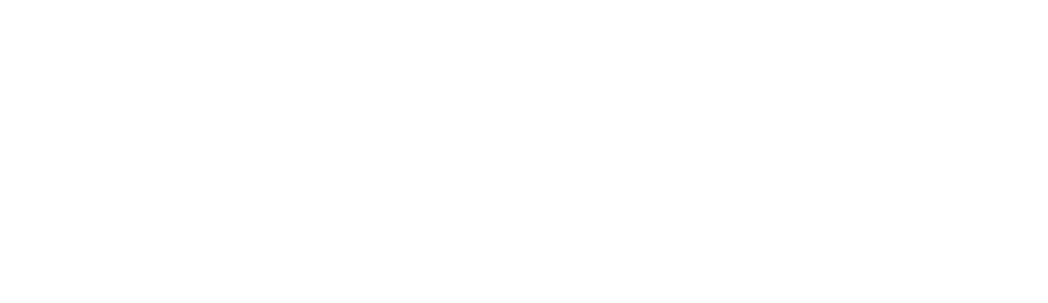 Ore Dynamics